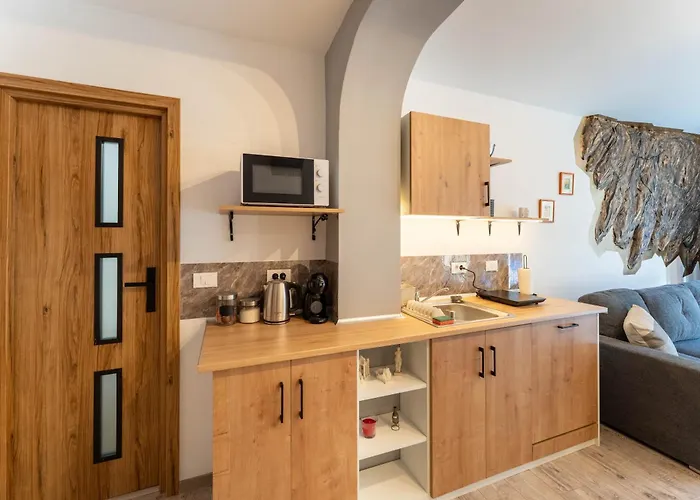 Apartman Mvision - Elegant Urban Nest Brassó